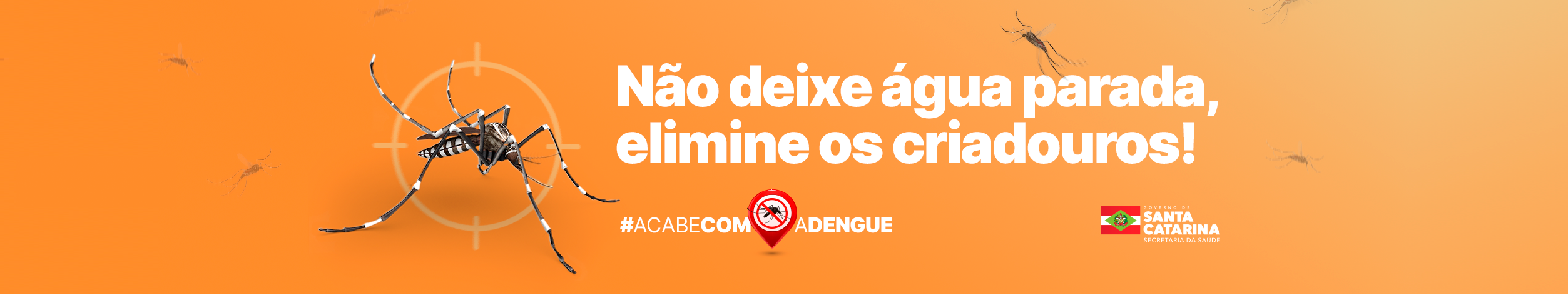 bannerdengue